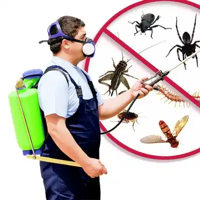 pest control Bryantown